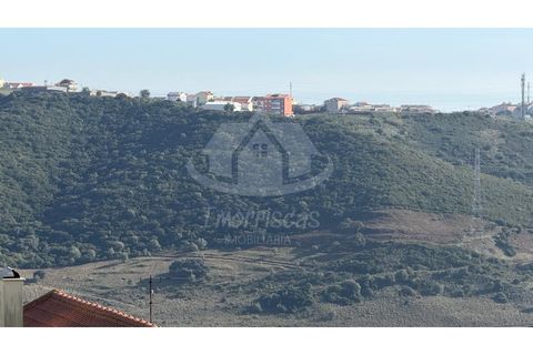 Terra a Camarate, Lisbon, Camarate - € 40.000 | Ref: PT2026-2075 - foto 7