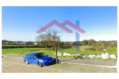 Terra a Tougues, Porto, Tougues - € 100.000 | Ref: 674 - foto 2