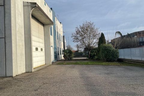 Erhvervsejendom i Codevigo, Padua, Codevigo - € 650.000 | Ref: K326 - foto 15