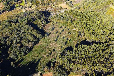 Lejlighed i Bombarral, Leiria, Bombarral - € 31.900 | Ref: 124181109-51 - foto 8