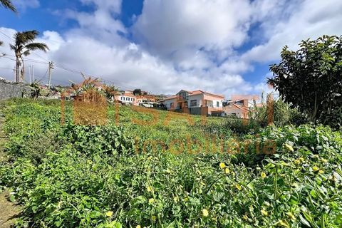 Helårsgrund i Ponta do Sol, Madeira, Ponta do Sol - € 160.000 | Ref: SAFTI:007686 - foto 7