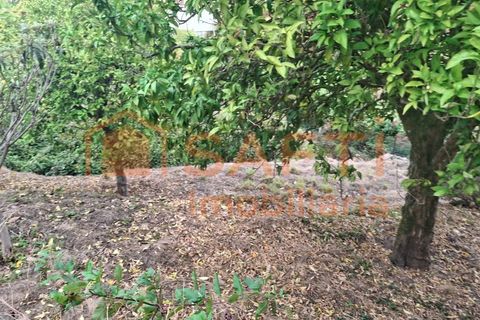 Landejendom i Moncao, Viana do Castelo, Moncao - € 125.000 | Ref: SAFTI:007695 - foto 20