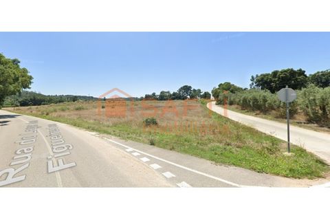Helårsgrund i Asseiceira, Santarem, Asseiceira - € 320.000 | Ref: SAFTI:007116 - foto 1