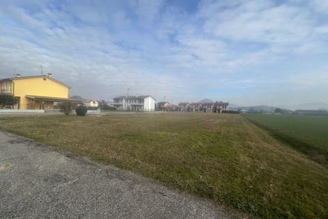 Terra a Albettone, Vicenza, Albettone - € 50.000 | Ref: TR556 - foto 12
