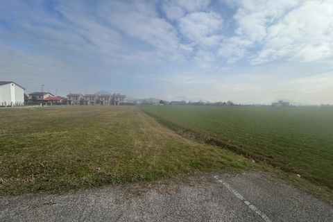 Terra a Albettone, Vicenza, Albettone - € 50.000 | Ref: TR556 - foto 13