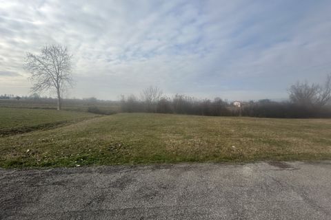 Terra a Albettone, Vicenza, Albettone - € 115.000 | Ref: TR562 - foto 13