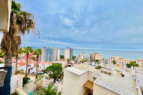 Leilighet i Torrevieja, Alicante, Torrevieja - € 228 000 | Ref: MLSC8155349/13477 - foto 6
