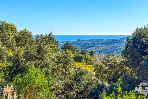 Helårsgrund i Lloret De Mar, Gerona, Lloret De Mar - € 42.000 | Ref: PAR0156 - foto 5