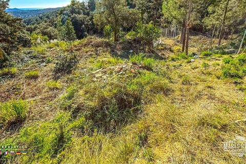 Helårsgrund i Lloret De Mar, Gerona, Lloret De Mar - € 42.000 | Ref: PAR0156 - foto 13