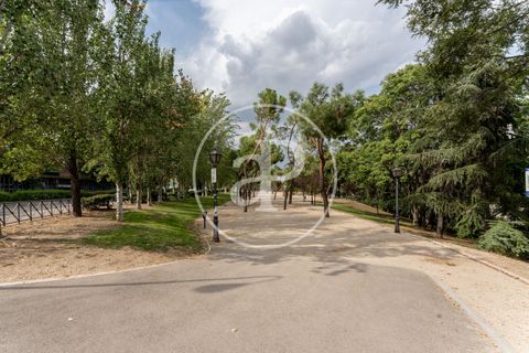 Lejlighed i Madrid, Madrid, Madrid - € 1.150.000 | Ref: VM2602039 - foto 16