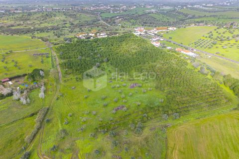 Tomt i Santarem, Santarem, Santarem - € 250 000 | Ref: FR1066 - foto 12