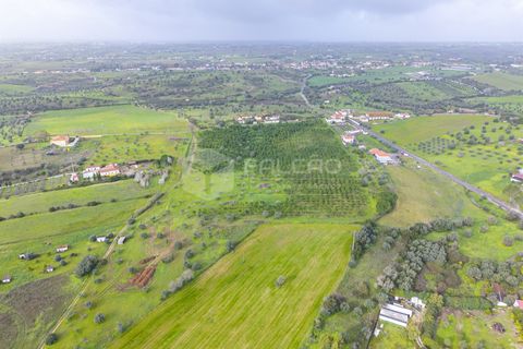 Tomt i Santarem, Santarem, Santarem - € 250 000 | Ref: FR1066 - foto 19