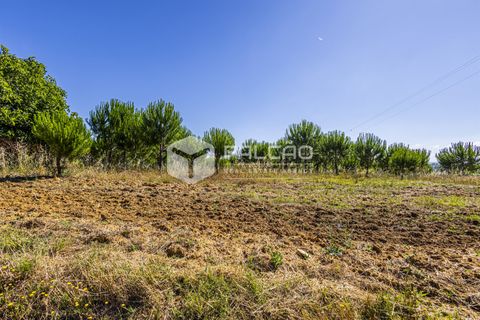 Tomt i Santarem, Santarem, Santarem - € 250 000 | Ref: FR1066 - foto 5