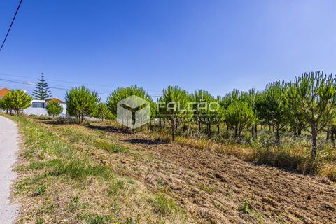 Tomt i Santarem, Santarem, Santarem - € 250 000 | Ref: FR1066 - foto 7