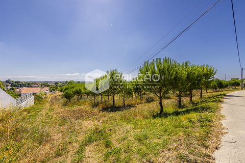 Tomt i Santarem, Santarem, Santarem - € 250 000 | Ref: FR1066 - foto 10