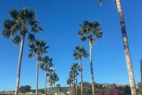 Villa i Algorfa, Alicante, Algorfa - € 770.000 | Ref: A02790/6084 - foto 18