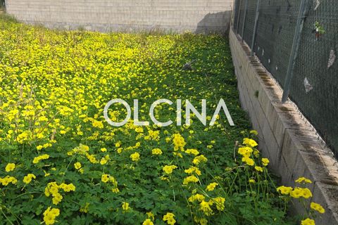 Terra a Bellreguard, Valencia, Bellreguard - € 97.300 | Ref: 613/6818 - foto 3