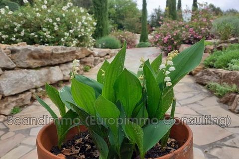 Villa i Cotignac, Var, Cotignac - € 663.000 | Ref: 666V7785M - foto 10