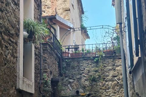 Landejendom i Dolceacqua, Imperia, Dolceacqua - € 210.000 | Ref: 86702744 - foto 35