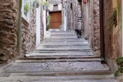 Landejendom i Dolceacqua, Imperia, Dolceacqua - € 210.000 | Ref: 86702744 - foto 36