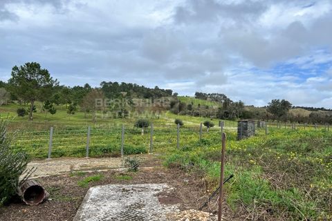 Byhus i Bombarral, Leiria, Bombarral - € 400.000 | Ref: SS_0075 - foto 9