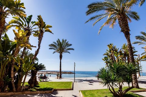 Leilighet i Torrevieja, Alicante, Torrevieja - € 129 990 | Ref: PL110/3946 - foto 41