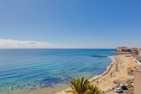 Leilighet i Torrevieja, Alicante, Torrevieja - € 129 990 | Ref: PL110/3946 - foto 46