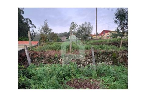 Helårsgrund i Barcelos, Braga, Barcelos - € 85.000 | Ref: TER_3649 - foto 3