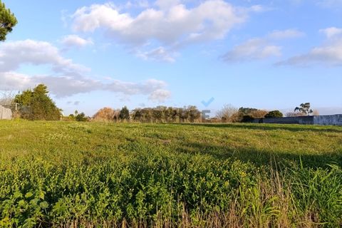 Helårsgrund i Ilhavo, Aveiro, Ilhavo - € 65.000 | Ref: MN_TRR_ZG_111683 - foto 5