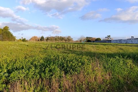 Helårsgrund i Ilhavo, Aveiro, Ilhavo - € 65.000 | Ref: MN_TRR_ZG_111683 - foto 6