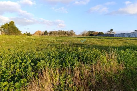 Helårsgrund i Ilhavo, Aveiro, Ilhavo - € 65.000 | Ref: MN_TRR_ZG_111683 - foto 7
