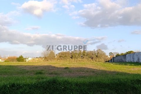 Helårsgrund i Ilhavo, Aveiro, Ilhavo - € 65.000 | Ref: MN_TRR_ZG_111682 - foto 4