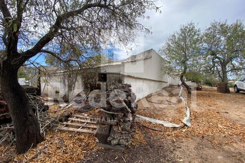 Villa i Moncarapacho, Faro, Moncarapacho - € 498.000 | Ref: 022222062O - foto 7