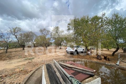 Villa i Moncarapacho, Faro, Moncarapacho - € 498.000 | Ref: 022222062O - foto 22