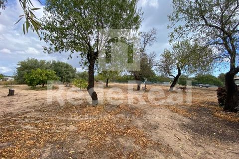 Villa i Moncarapacho, Faro, Moncarapacho - € 498.000 | Ref: 022222062O - foto 24