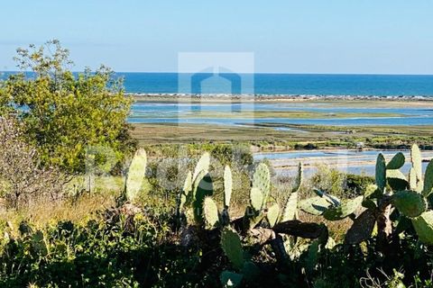 Villa i Moncarapacho, Faro, Moncarapacho - € 498.000 | Ref: 022222062O - foto 26