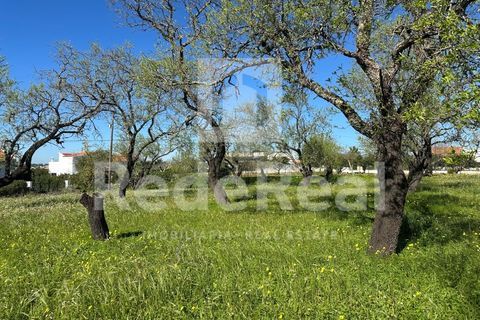 Villa i Moncarapacho, Faro, Moncarapacho - € 498.000 | Ref: 022222062O - foto 8