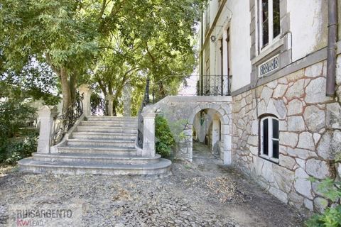 Villa i Serpa, Beja, Serpa - € 1.190.000 | Ref: PAL_244RSKWPT-000734 - foto 2
