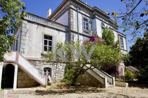 Villa i Serpa, Beja, Serpa - € 1.190.000 | Ref: PAL_244RSKWPT-000734 - foto 19