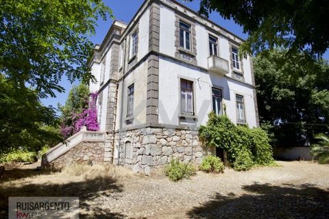 Villa i Serpa, Beja, Serpa - € 1.190.000 | Ref: PAL_244RSKWPT-000734 - foto 20