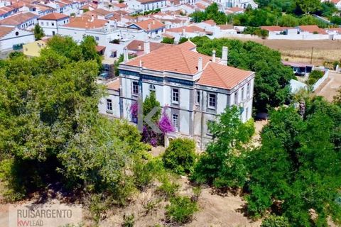 Villa i Serpa, Beja, Serpa - € 1.190.000 | Ref: PAL_244RSKWPT-000734 - foto 21