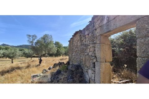 Terra a Aranhas, Castelo Branco, Aranhas - € 59.900 | Ref: TER_242RSKWPT-026451 - foto 4