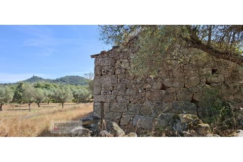 Terra a Aranhas, Castelo Branco, Aranhas - € 59.900 | Ref: TER_242RSKWPT-026451 - foto 5
