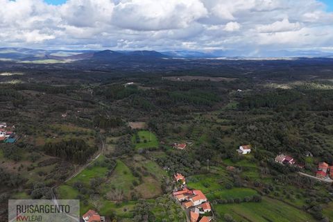 Terra a Aranhas, Castelo Branco, Aranhas - € 59.900 | Ref: TER_242RSKWPT-026451 - foto 6