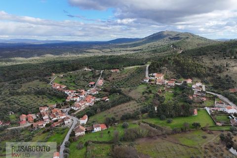 Terra a Aranhas, Castelo Branco, Aranhas - € 59.900 | Ref: TER_242RSKWPT-026451 - foto 7