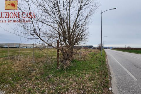 Terra a Romans d'Isonzo, Gorizia, Romans d'Isonzo - € 950.000 | Ref: 1646 - foto 5