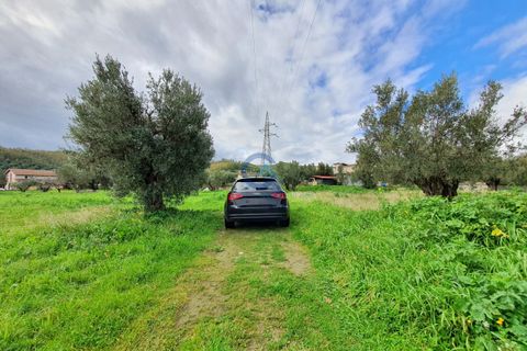 Tomt i Catanzaro, Catanzaro, Catanzaro - € 65 000 | Ref: CZ-906 - foto 3