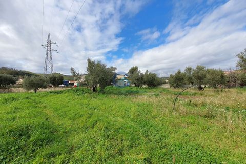 Tomt i Catanzaro, Catanzaro, Catanzaro - € 65 000 | Ref: CZ-906 - foto 4