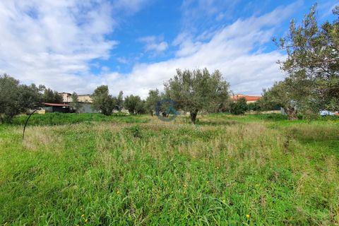 Tomt i Catanzaro, Catanzaro, Catanzaro - € 65 000 | Ref: CZ-906 - foto 5