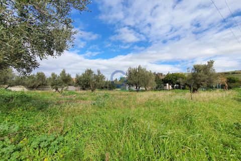 Tomt i Catanzaro, Catanzaro, Catanzaro - € 65 000 | Ref: CZ-906 - foto 6